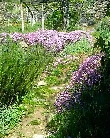 Bed & Breakfast Varionda Chiaverano