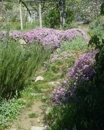 فندق مبيت وإفطار Varionda