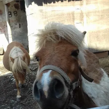 Bed & Breakfast Varionda Frühstückspension