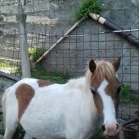 Varionda فندق مبيت وإفطار 3*