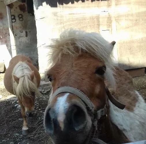 Varionda ベッド・アンド・ブレックファスト