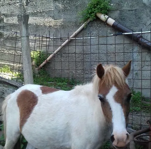 Varionda Nocleg ze śniadaniem 3*